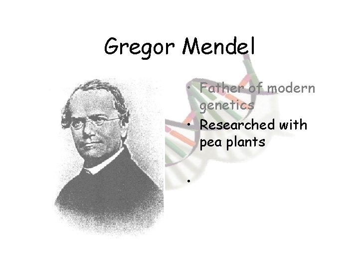 Gregor Mendel • Father of modern genetics • Researched with pea plants • 