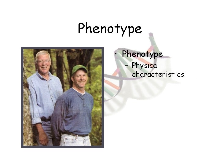 Phenotype • Phenotype – Physical characteristics 