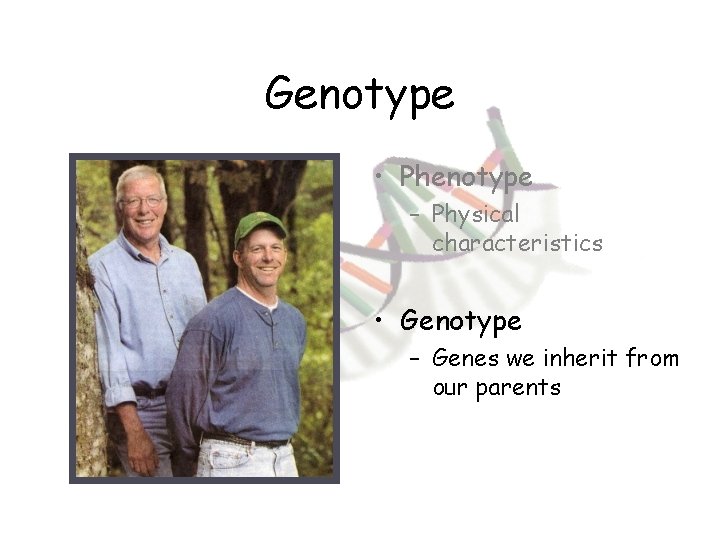 Genotype • Phenotype – Physical characteristics • Genotype – Genes we inherit from our