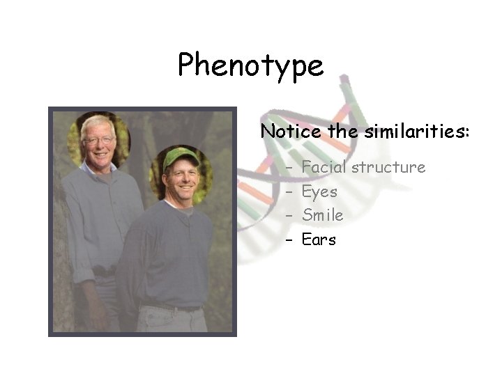 Phenotype Notice the similarities: – – Facial structure Eyes Smile Ears 