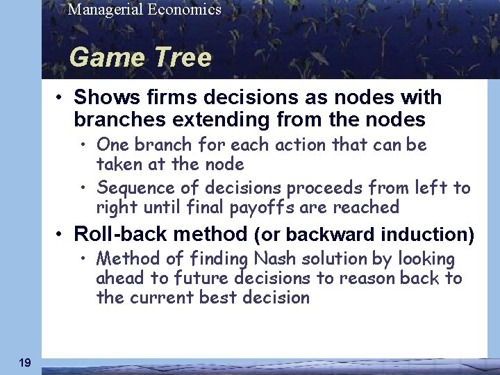 Managerial Economics Game Tree • Shows firms decisions as nodes with branches extending from