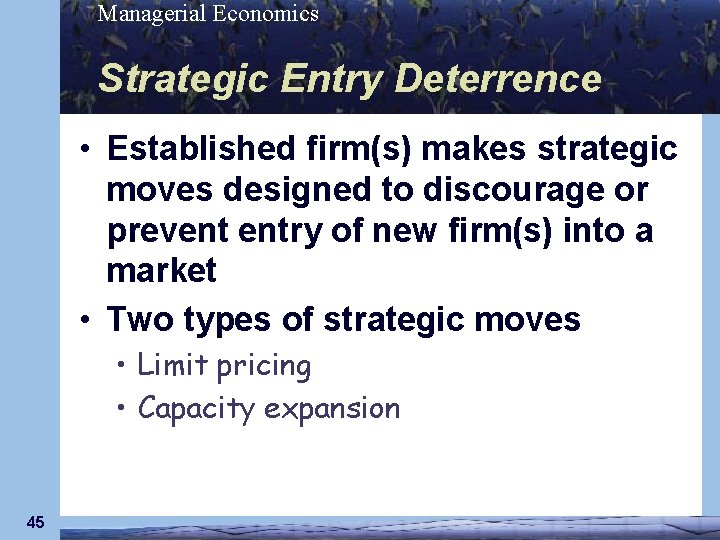 Managerial Economics Strategic Entry Deterrence • Established firm(s) makes strategic moves designed to discourage
