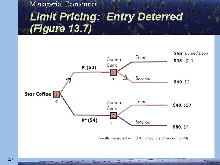 Managerial Economics Limit Pricing: Entry Deterred (Figure 13. 7) 47 