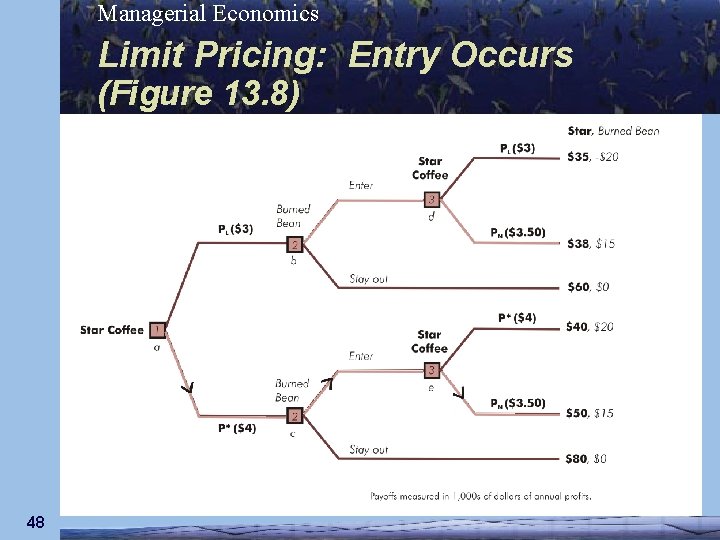 Managerial Economics Limit Pricing: Entry Occurs (Figure 13. 8) 48 