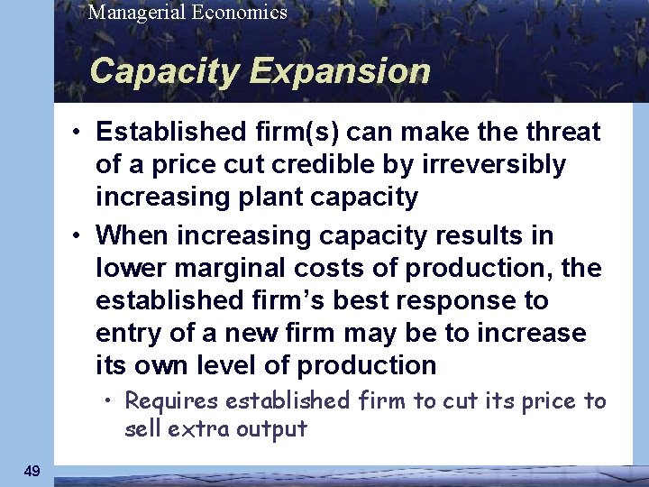 Managerial Economics Capacity Expansion • Established firm(s) can make threat of a price cut