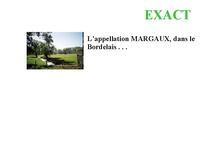 EXACT L’appellation MARGAUX, dans le Bordelais. . . 