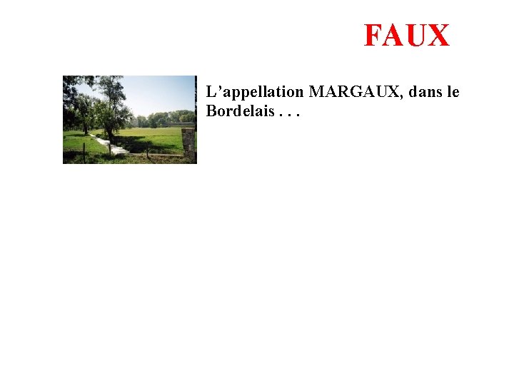 FAUX L’appellation MARGAUX, dans le Bordelais. . . 