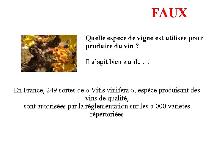 FAUX Quelle espèce de vigne est utilisée pour produire du vin ? Il s’agit