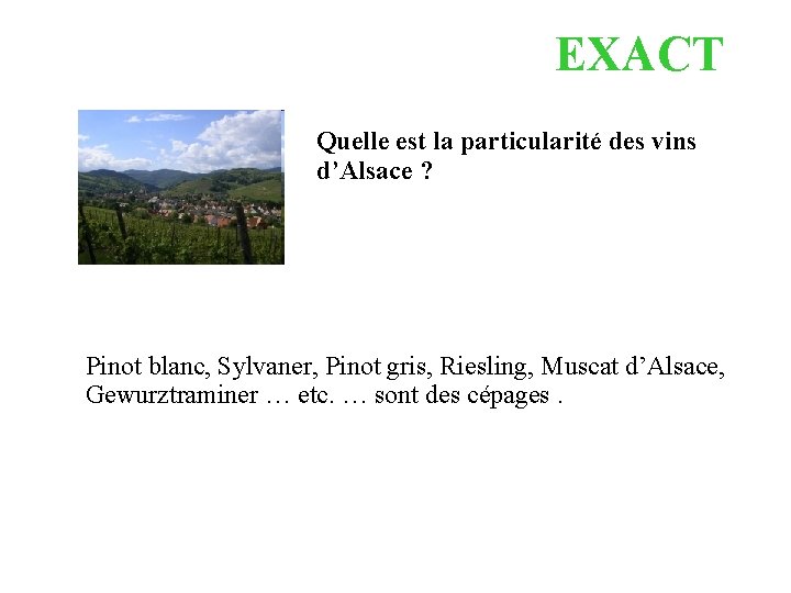 EXACT Quelle est la particularité des vins d’Alsace ? Pinot blanc, Sylvaner, Pinot gris,