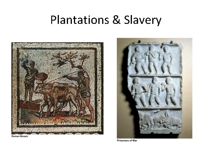 Plantations & Slavery 