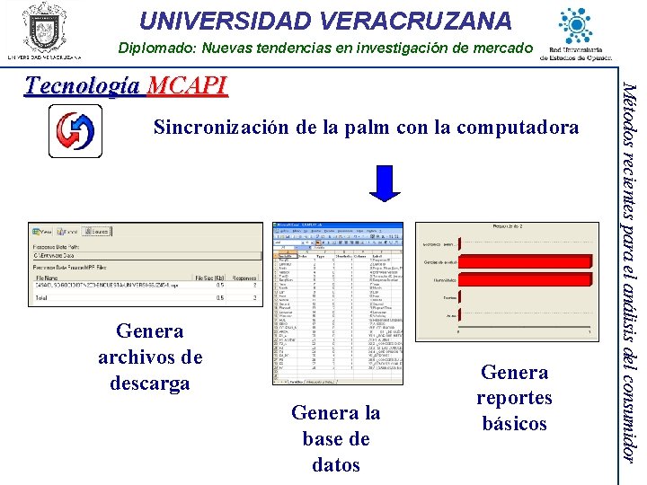 UNIVERSIDAD VERACRUZANA Diplomado: Nuevas tendencias en investigación de mercado Sincronización de la palm con