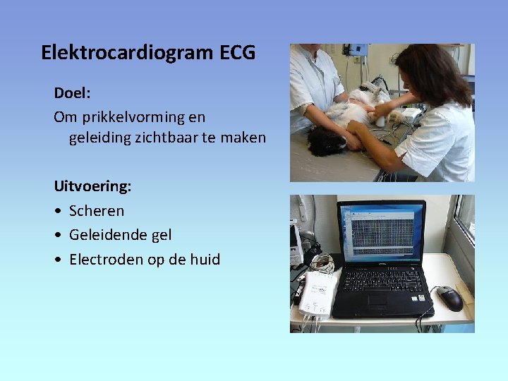 Elektrocardiogram ECG Doel: Om prikkelvorming en geleiding zichtbaar te maken Uitvoering: • Scheren •