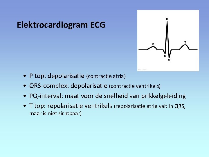 Elektrocardiogram ECG • • P top: depolarisatie (contractie atria) QRS-complex: depolarisatie (contractie ventrikels) PQ-interval: