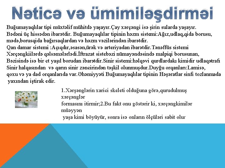 Nəticə və ümimiləşdirməi Buğumayaqlılar tipi müxtəlif mühitdə yaşayır. Çay xərçəngi isə şirin sularda yaşayır.