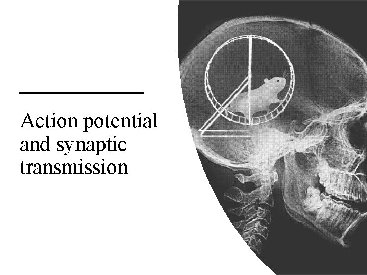 Action potential and synaptic transmission 