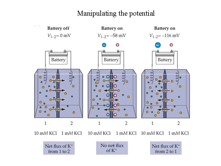 Manipulating the potential 