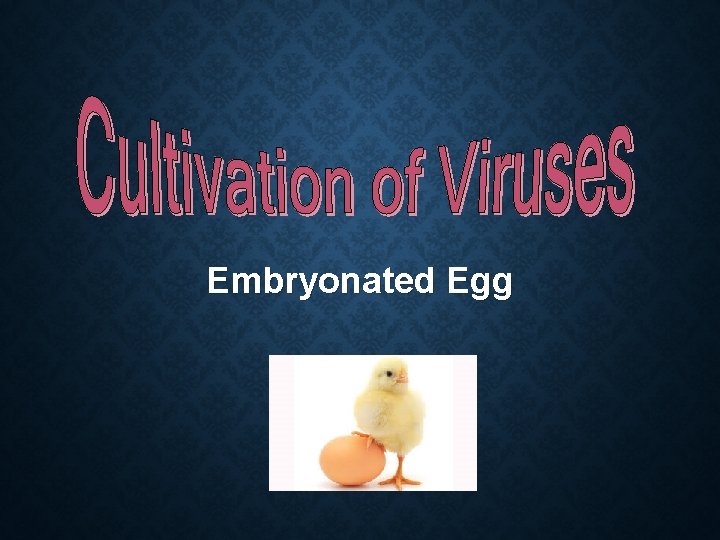 Embryonated Egg 