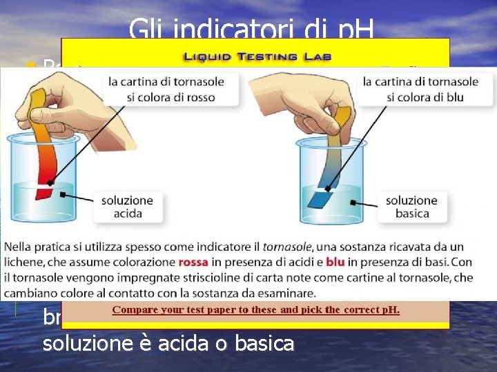 Gli indicatori di p. H • Per sapere il p. H di una soluzione