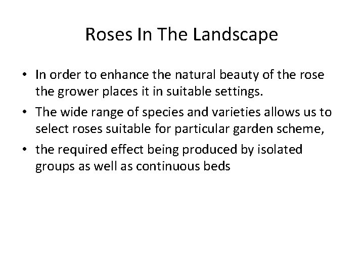 Roses In The Landscape • In order to enhance the natural beauty of the Roses In The Landscape • In order to enhance the natural beauty of the