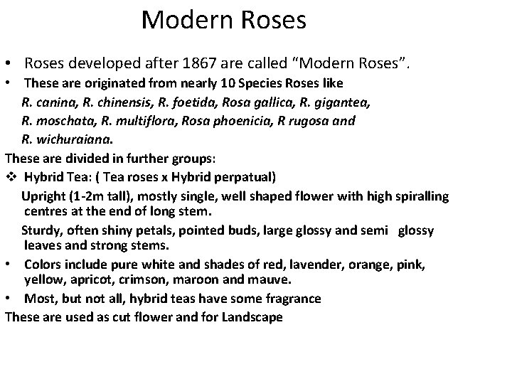 Modern Roses • Roses developed after 1867 are called “Modern Roses”. • These are Modern Roses • Roses developed after 1867 are called “Modern Roses”. • These are