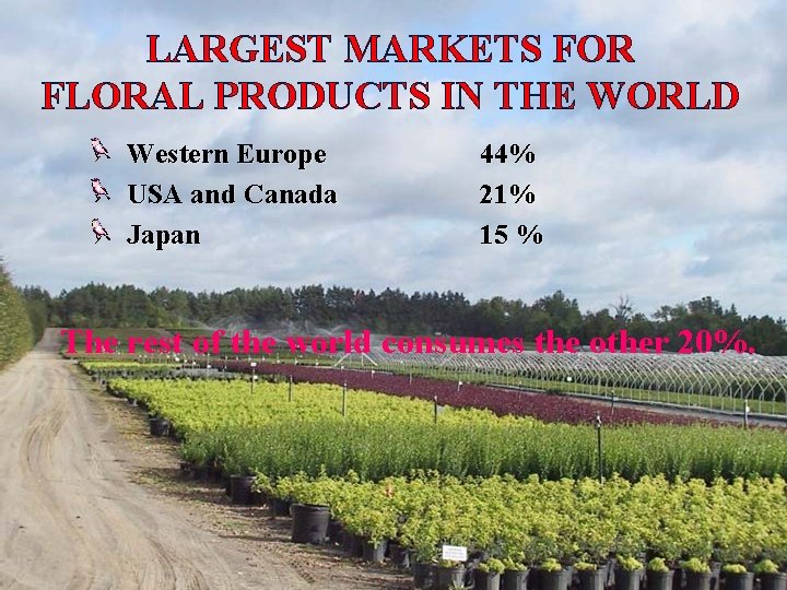 LARGEST MARKETS FOR FLORAL PRODUCTS IN THE WORLD Western Europe USA and Canada Japan LARGEST MARKETS FOR FLORAL PRODUCTS IN THE WORLD Western Europe USA and Canada Japan