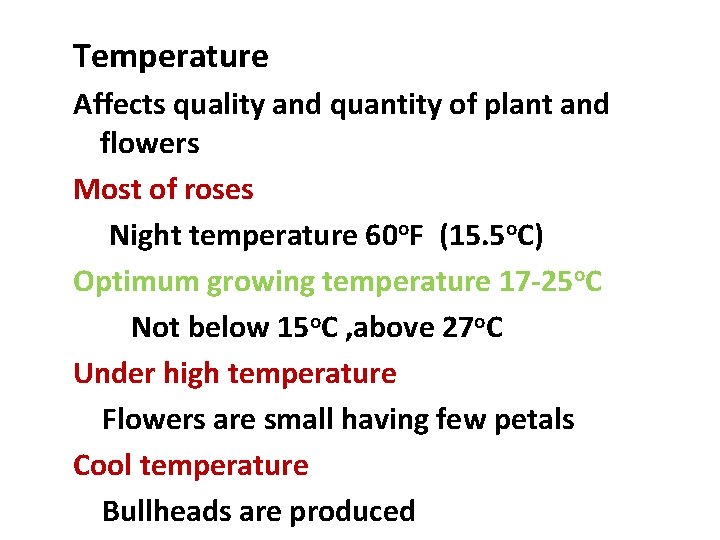 Temperature Affects quality and quantity of plant and flowers Most of roses Night temperature Temperature Affects quality and quantity of plant and flowers Most of roses Night temperature