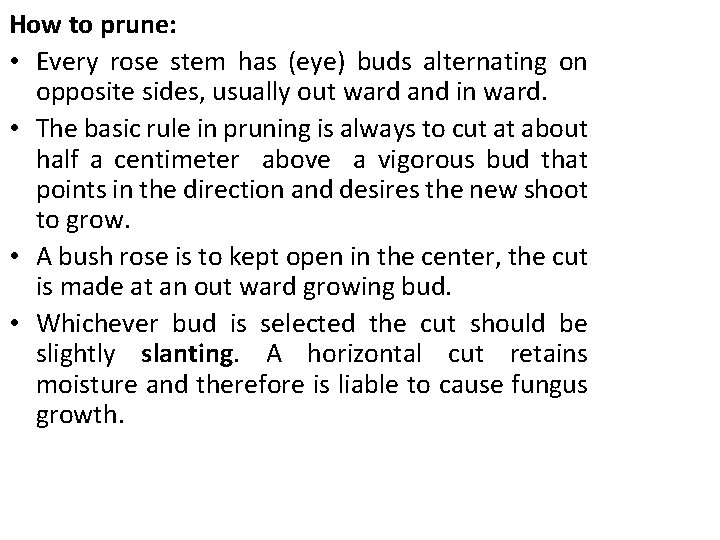 How to prune: • Every rose stem has (eye) buds alternating on opposite sides, How to prune: • Every rose stem has (eye) buds alternating on opposite sides,
