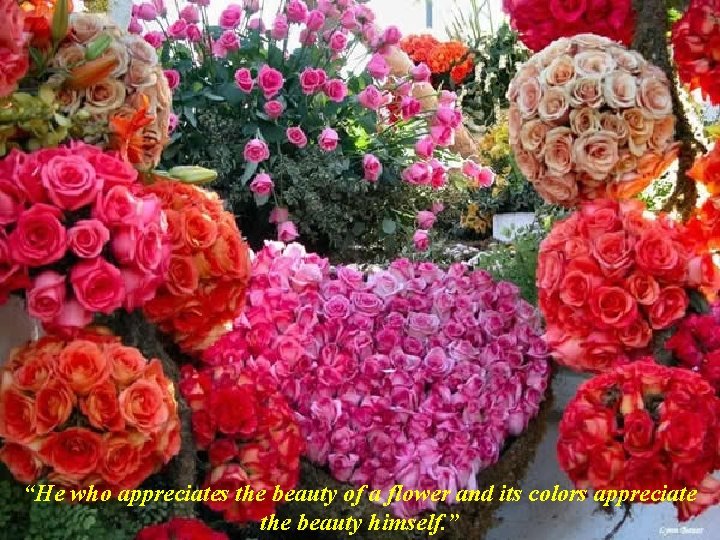 “He who appreciates the beauty of a flower and its colors appreciate the beauty “He who appreciates the beauty of a flower and its colors appreciate the beauty