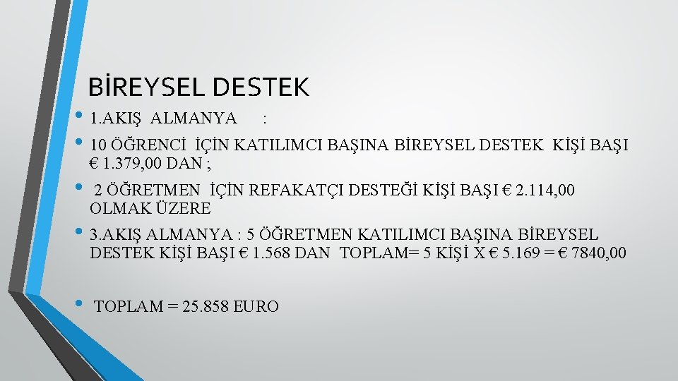 BİREYSEL DESTEK • 1. AKIŞ ALMANYA : • 10 ÖĞRENCİ İÇİN KATILIMCI BAŞINA BİREYSEL