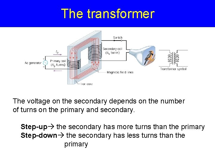 The transformer The voltage on the secondary depends on the number of turns on