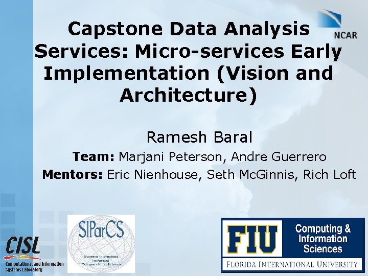 Capstone Data Analysis Services Microservices Early Implementation Vision