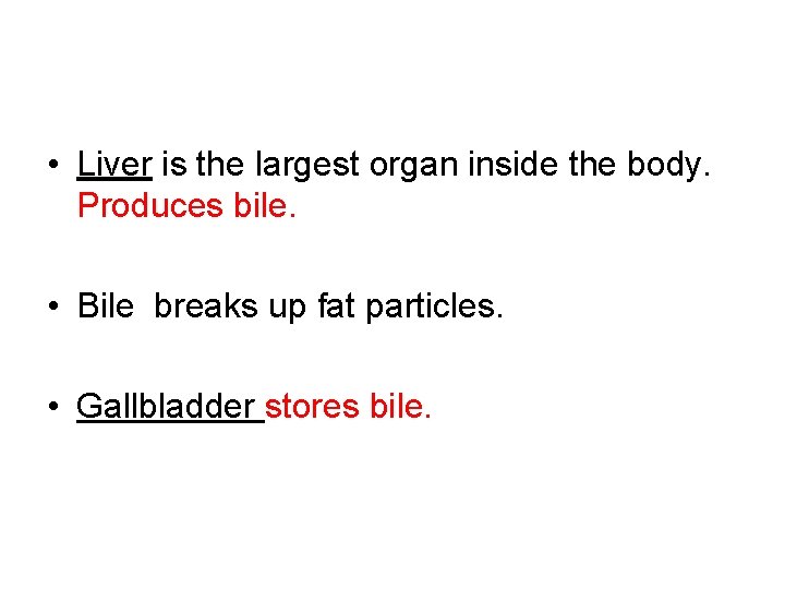  • Liver is the largest organ inside the body. Produces bile. • Bile