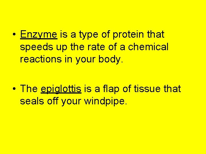  • Enzyme is a type of protein that speeds up the rate of