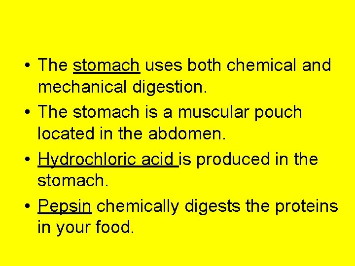  • The stomach uses both chemical and mechanical digestion. • The stomach is