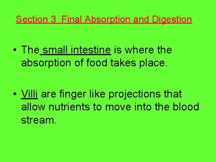 Section 3 Final Absorption and Digestion • The small intestine is where the absorption