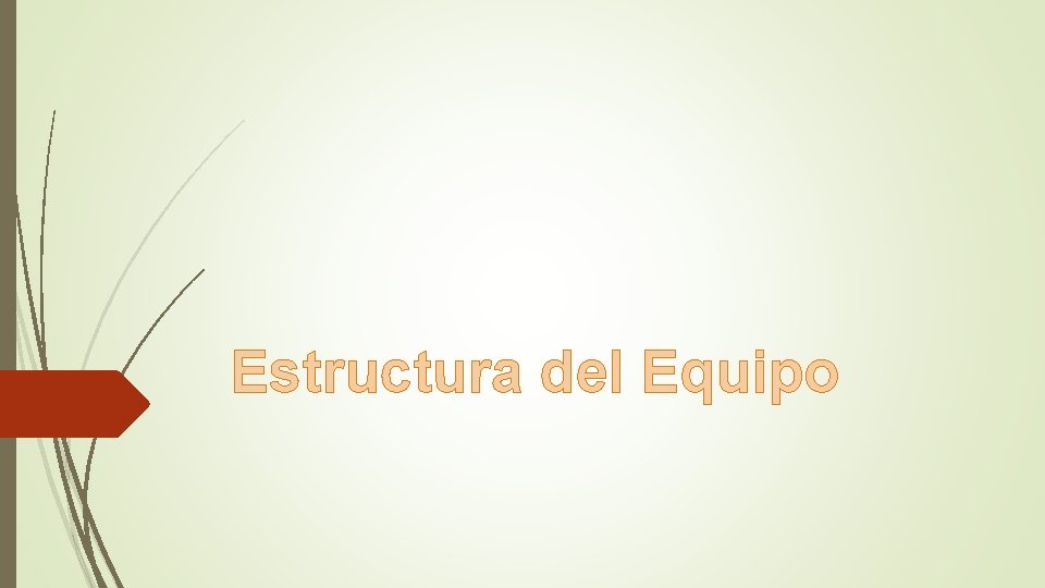 Estructura del Equipo 