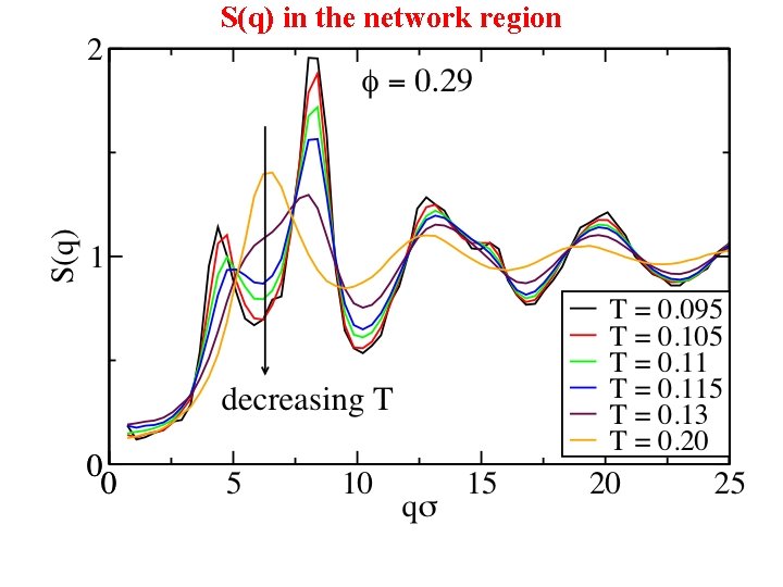 S(q) in the network region 