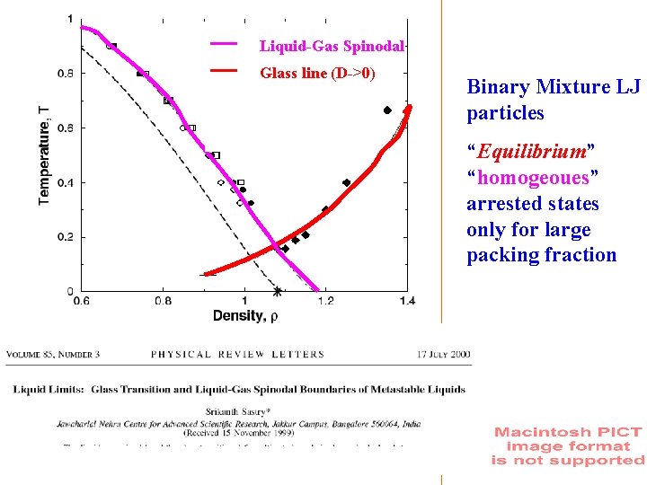 Liquid-Gas Spinodal Glass line (D->0) Binary Mixture LJ particles “Equilibrium” “homogeoues” arrested states only