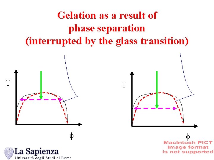 Gelation as a result of phase separation (interrupted by the glass transition) T T