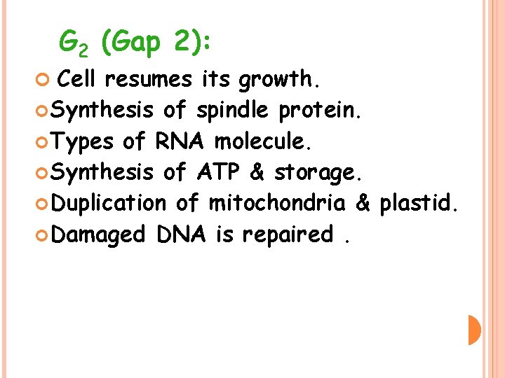 G 2 (Gap 2): Cell resumes its growth. Synthesis of spindle protein. Types of