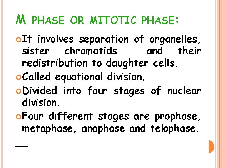 M PHASE OR MITOTIC PHASE: It involves separation of organelles, sister chromatids and their