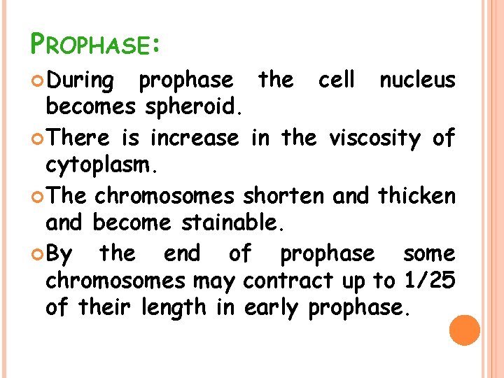 PROPHASE: During prophase the cell nucleus becomes spheroid. There is increase in the viscosity