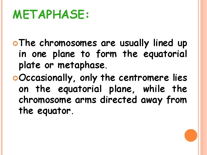 METAPHASE: The chromosomes are usually lined up in one plane to form the equatorial