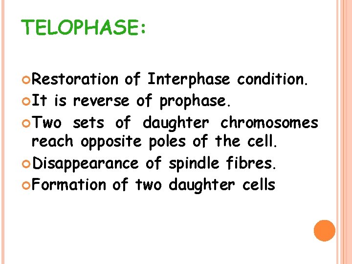 TELOPHASE: Restoration of Interphase condition. It is reverse of prophase. Two sets of daughter