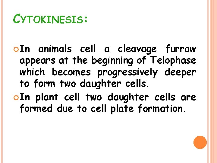 CYTOKINESIS: In animals cell a cleavage furrow appears at the beginning of Telophase which