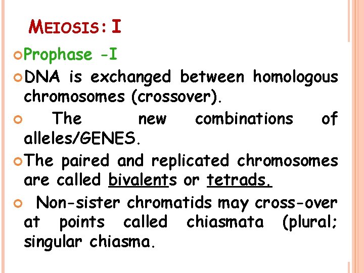 MEIOSIS: I Prophase -I DNA is exchanged between homologous chromosomes (crossover). The new combinations