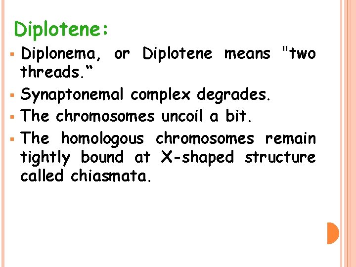 Diplotene: § § Diplonema, or Diplotene means "two threads. “ Synaptonemal complex degrades. The