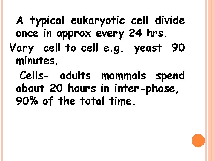 A typical eukaryotic cell divide once in approx every 24 hrs. Vary cell to