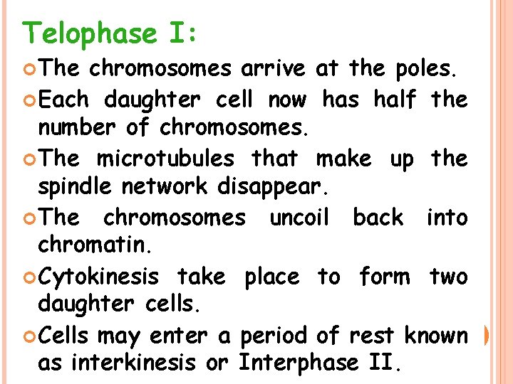 Telophase I: The chromosomes arrive at the poles. Each daughter cell now has half