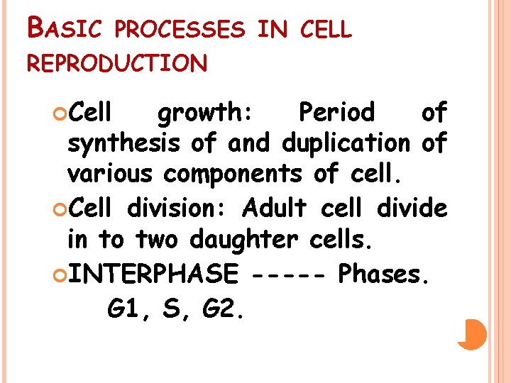 BASIC PROCESSES IN CELL REPRODUCTION Cell growth: Period of synthesis of and duplication of